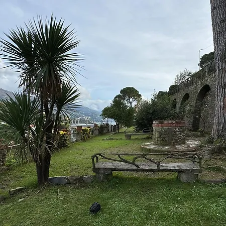 The Valley - In With Garden