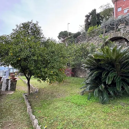 The Valley - In With Garden *