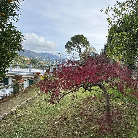 The Valley - In With Garden Rapallo